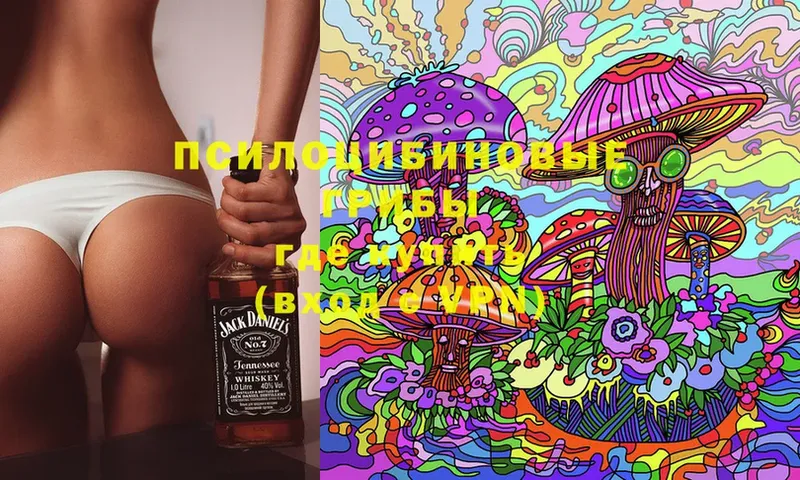 Псилоцибиновые грибы MAGIC MUSHROOMS  Касимов 